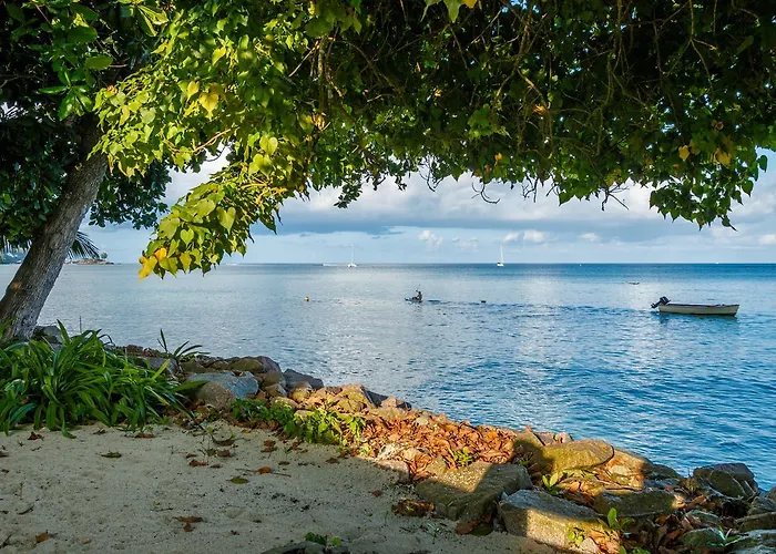 Fleur De Sel Aparthotel Anse Royale